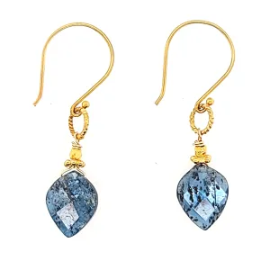 AVF Gold Indigo Kyanite Point Earrings (SI2958)