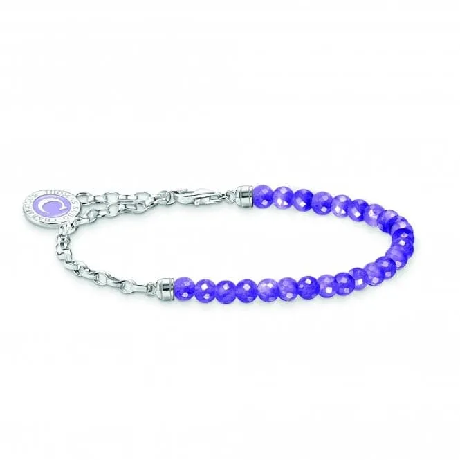 Charmista Violet Sterling Silver Enamel Bracelet A2130-007-13