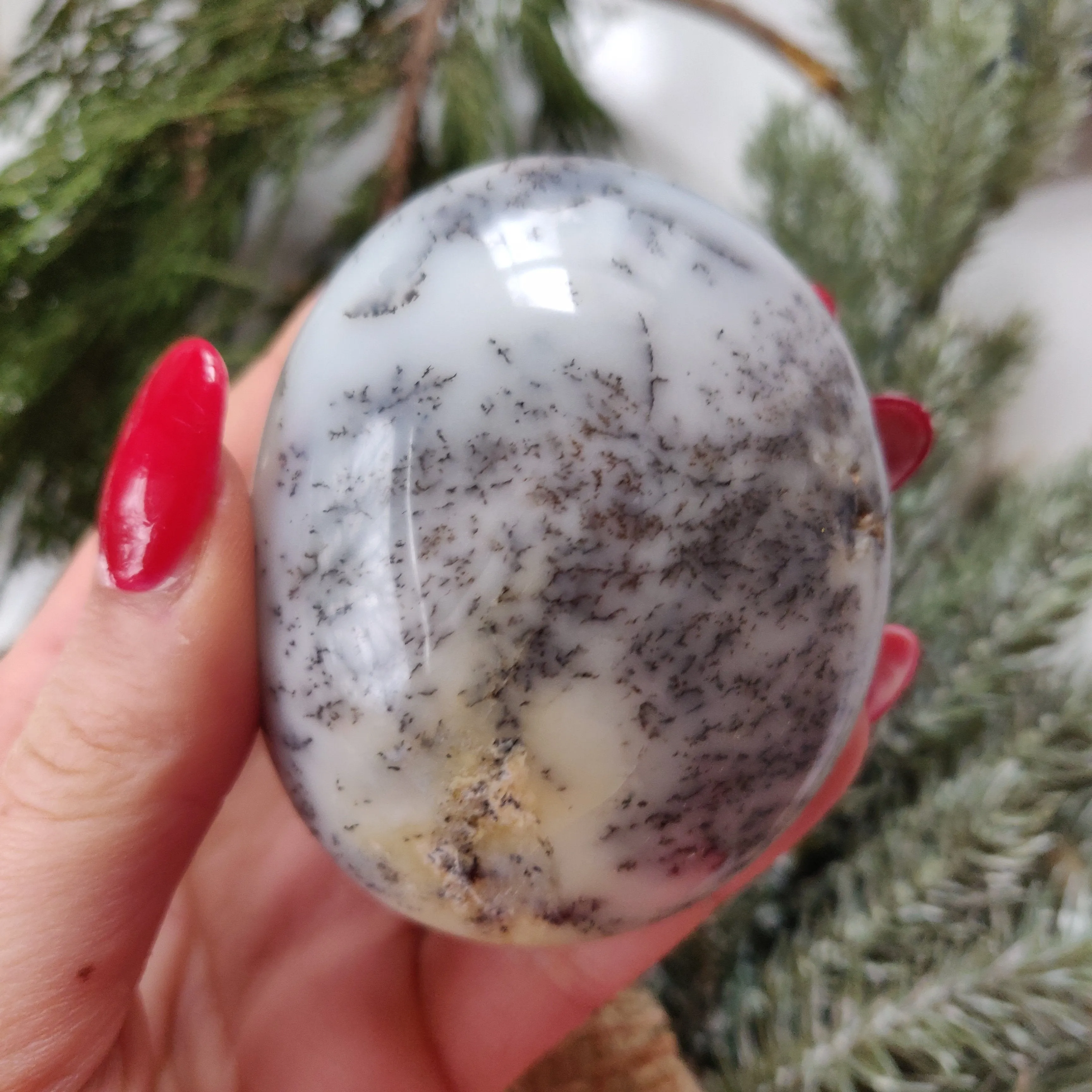 Dendritic Opal  Palm Stone (#22)
