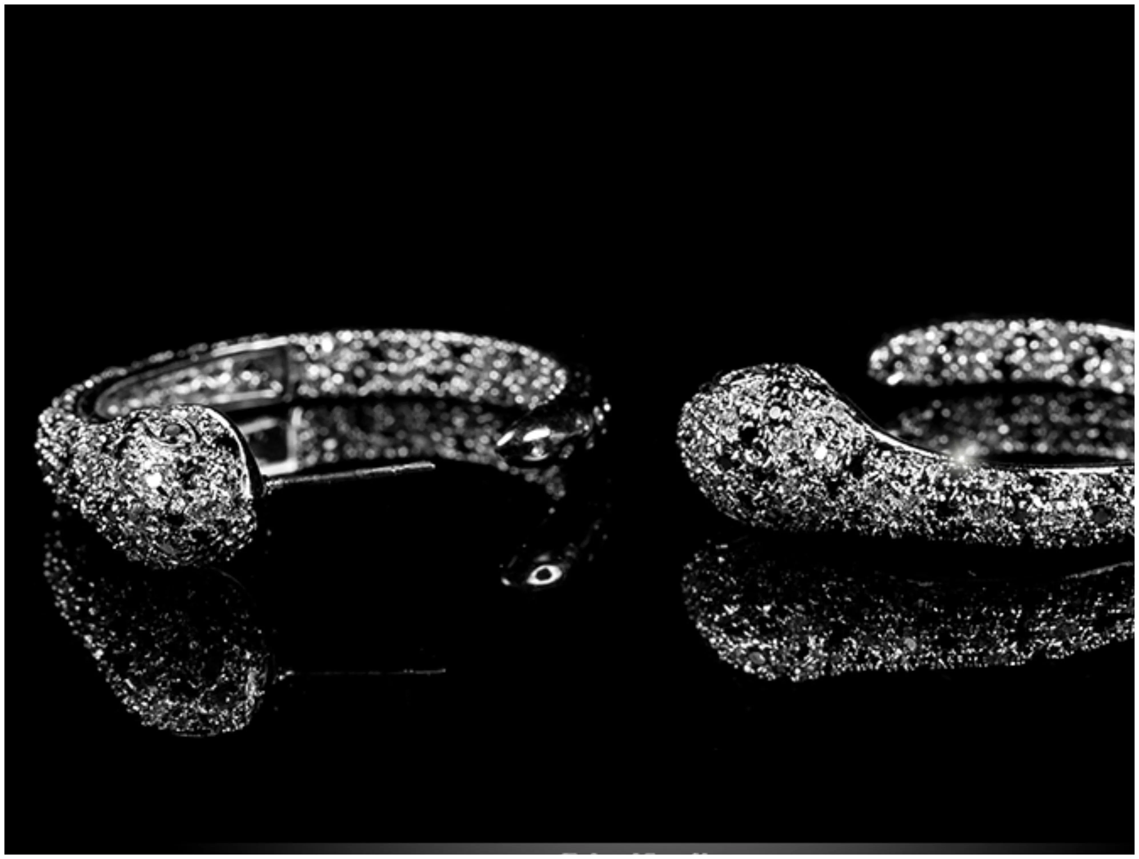 Ettas 7ct 35mm Snake Hoop Earrings in Black Clear Design