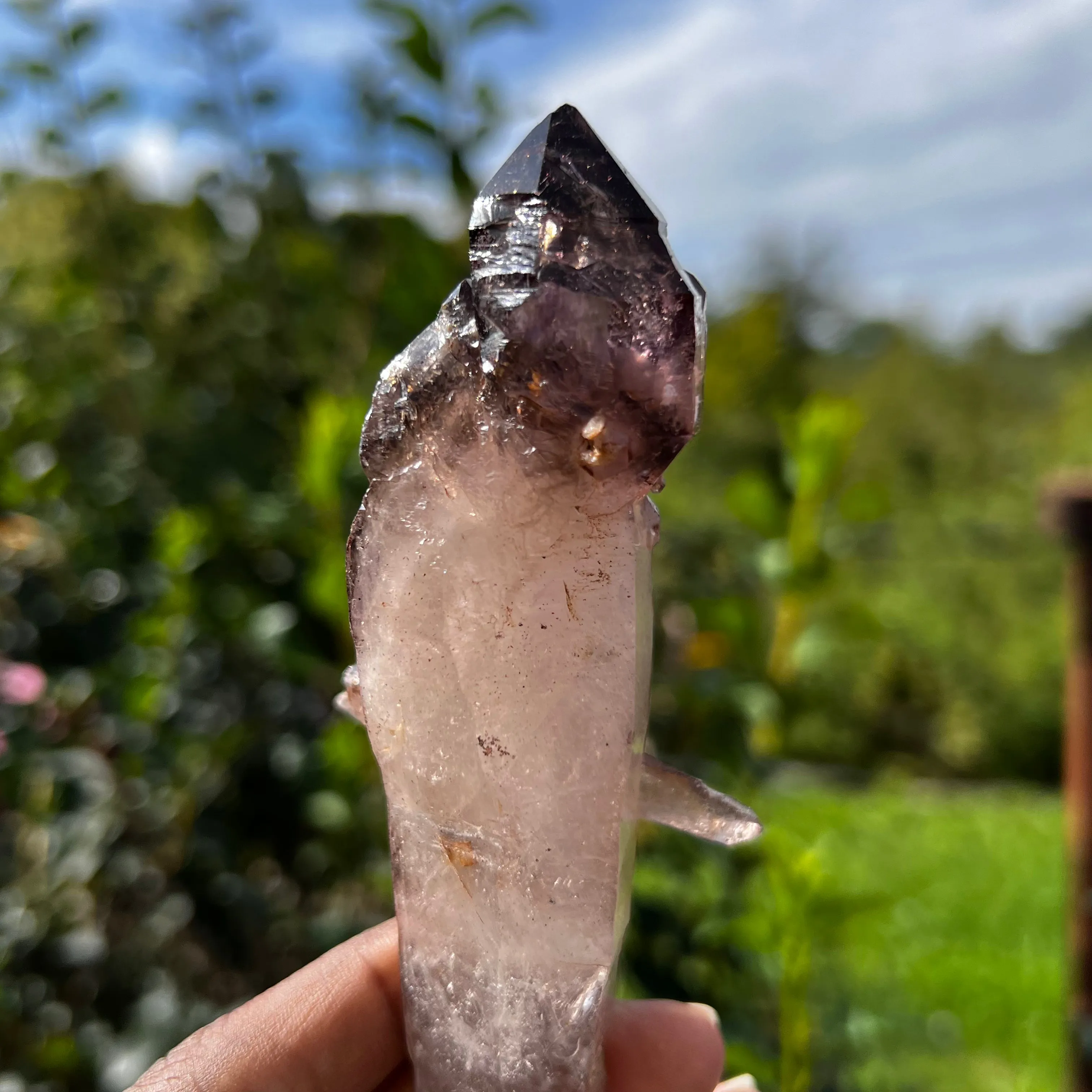 Gorgeous  Shangaan Amethyst Crystal with Hematite Inclusions From Zimbabwe