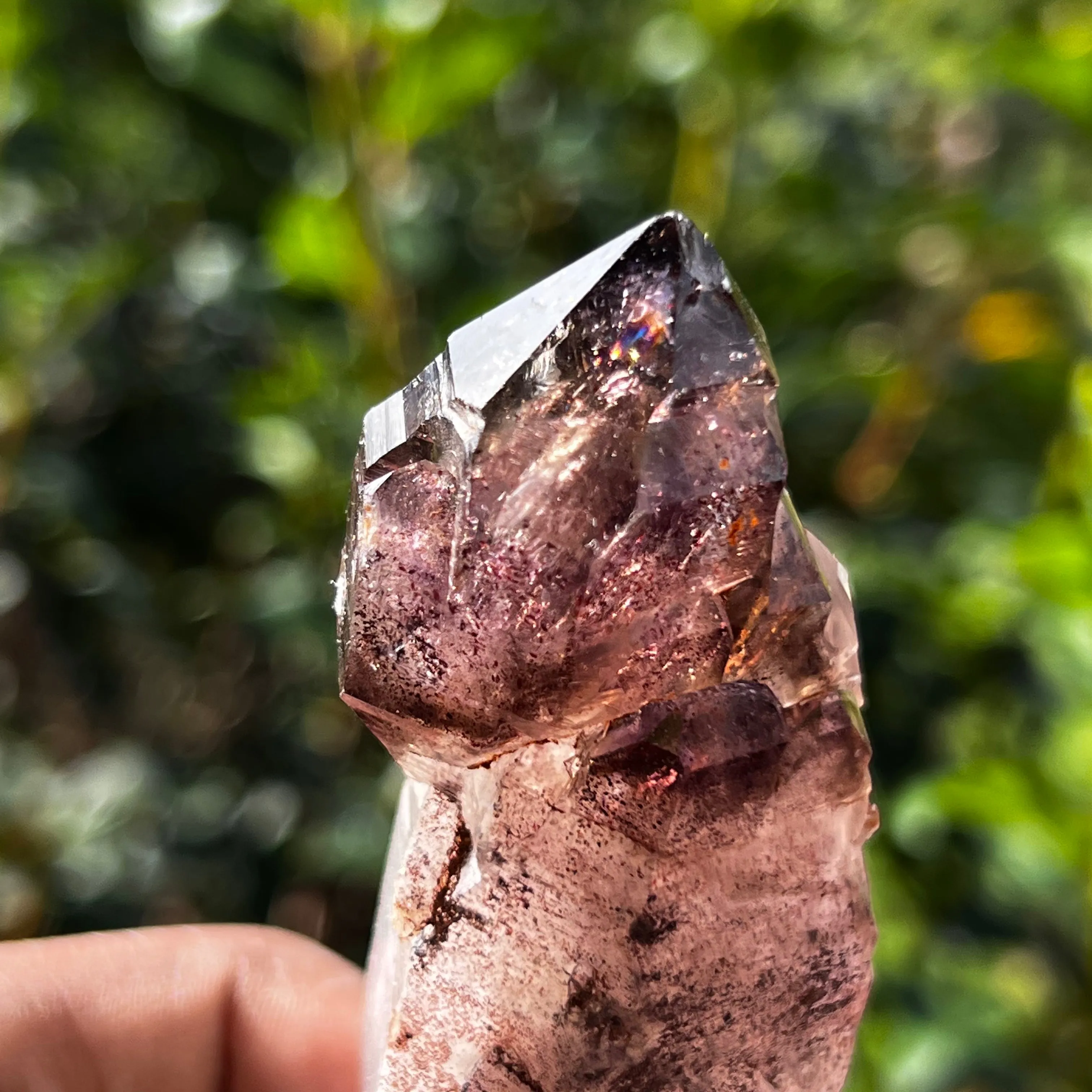 Gorgeous  Shangaan Amethyst Crystal with Hematite Inclusions From Zimbabwe
