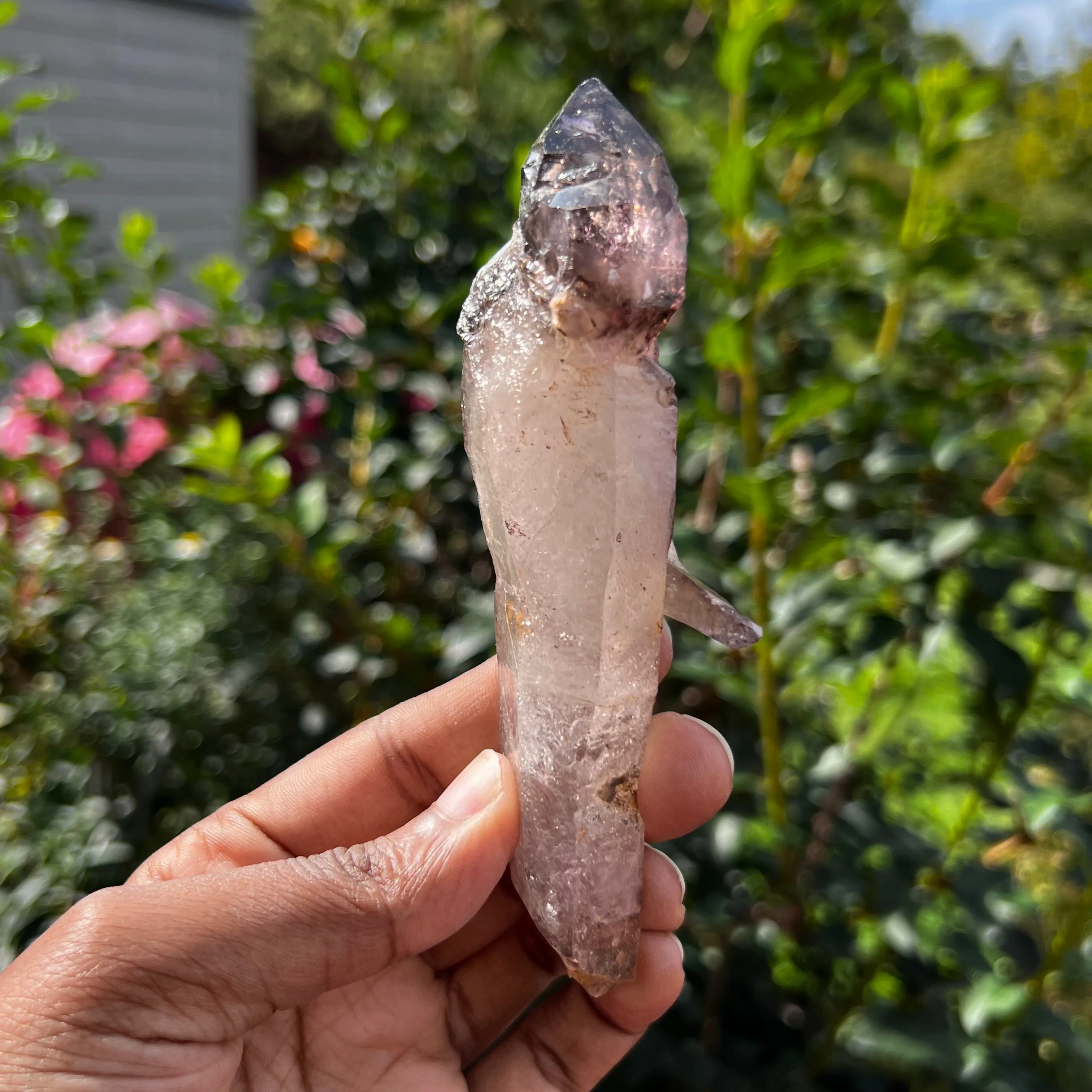 Gorgeous  Shangaan Amethyst Crystal with Hematite Inclusions From Zimbabwe
