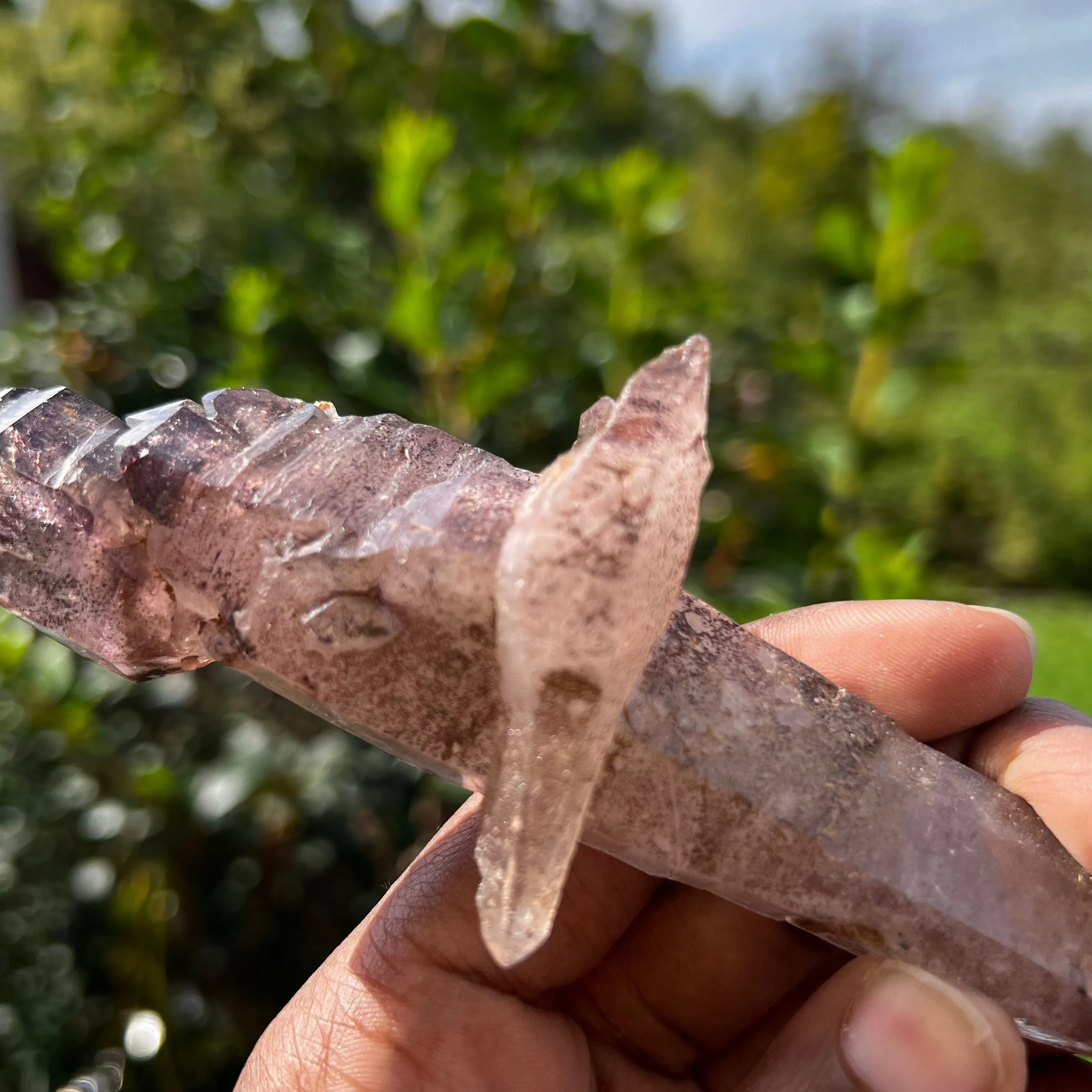 Gorgeous  Shangaan Amethyst Crystal with Hematite Inclusions From Zimbabwe