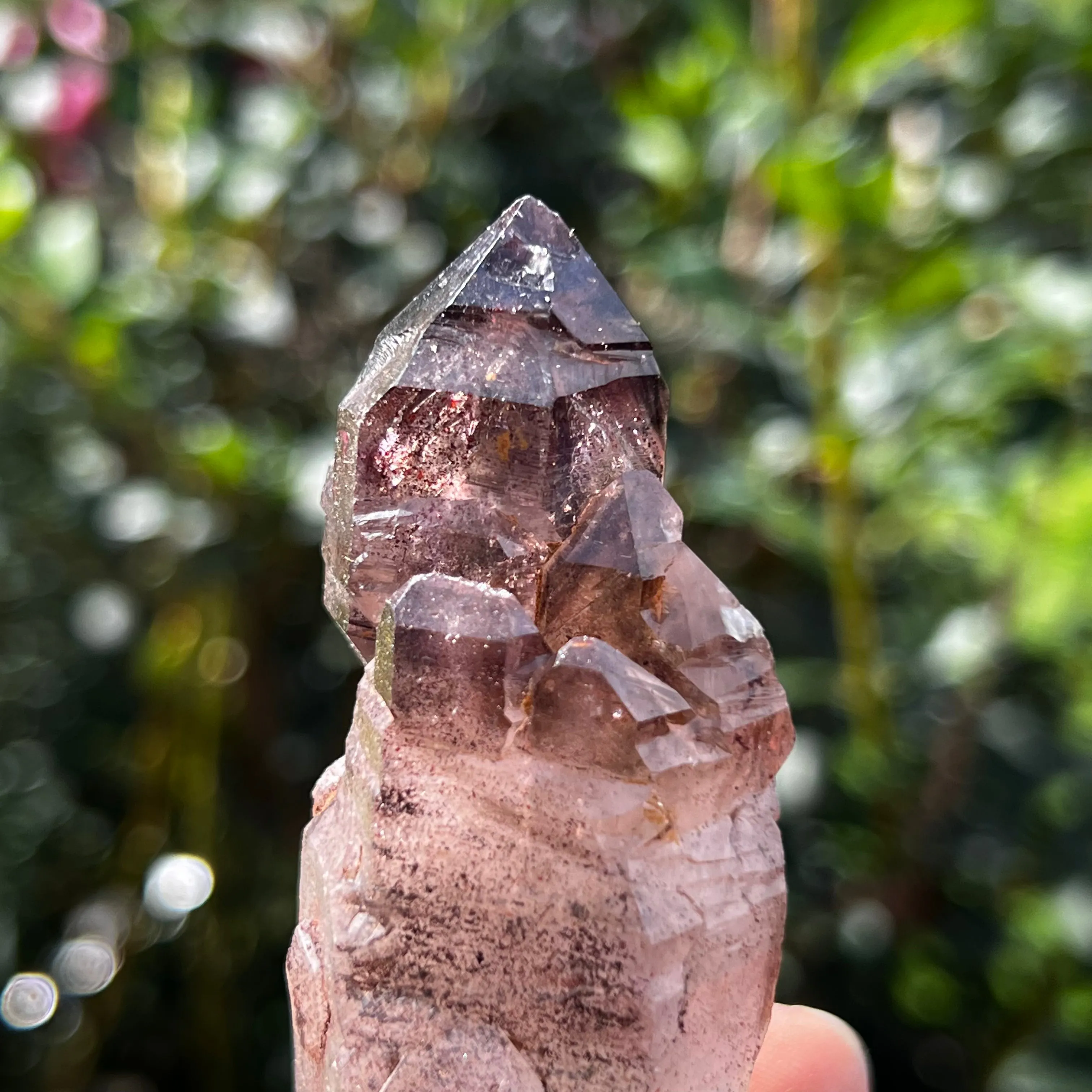 Gorgeous  Shangaan Amethyst Crystal with Hematite Inclusions From Zimbabwe