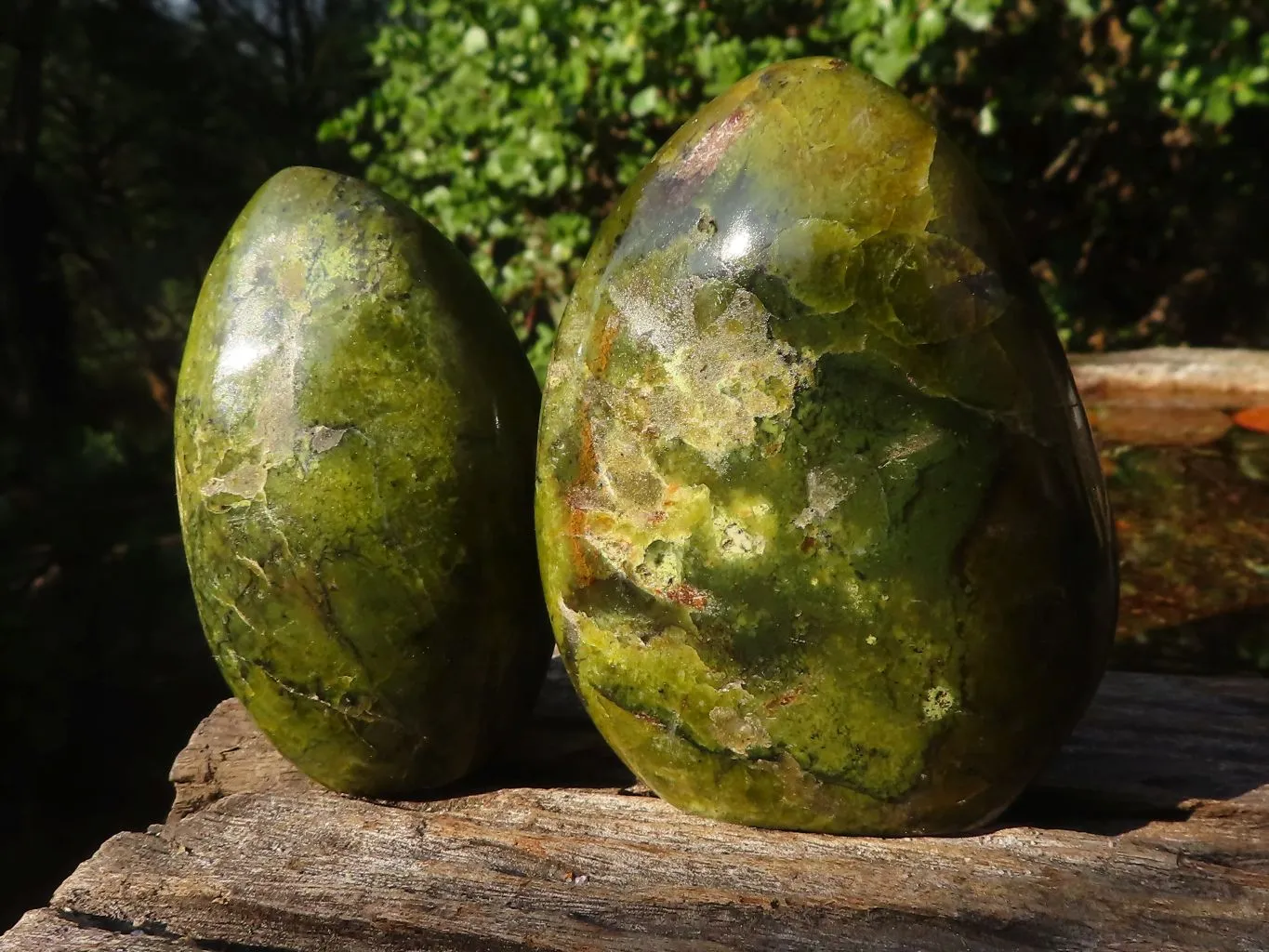 Polished Green Opal Standing Free Forms  x 4 From Madagascar