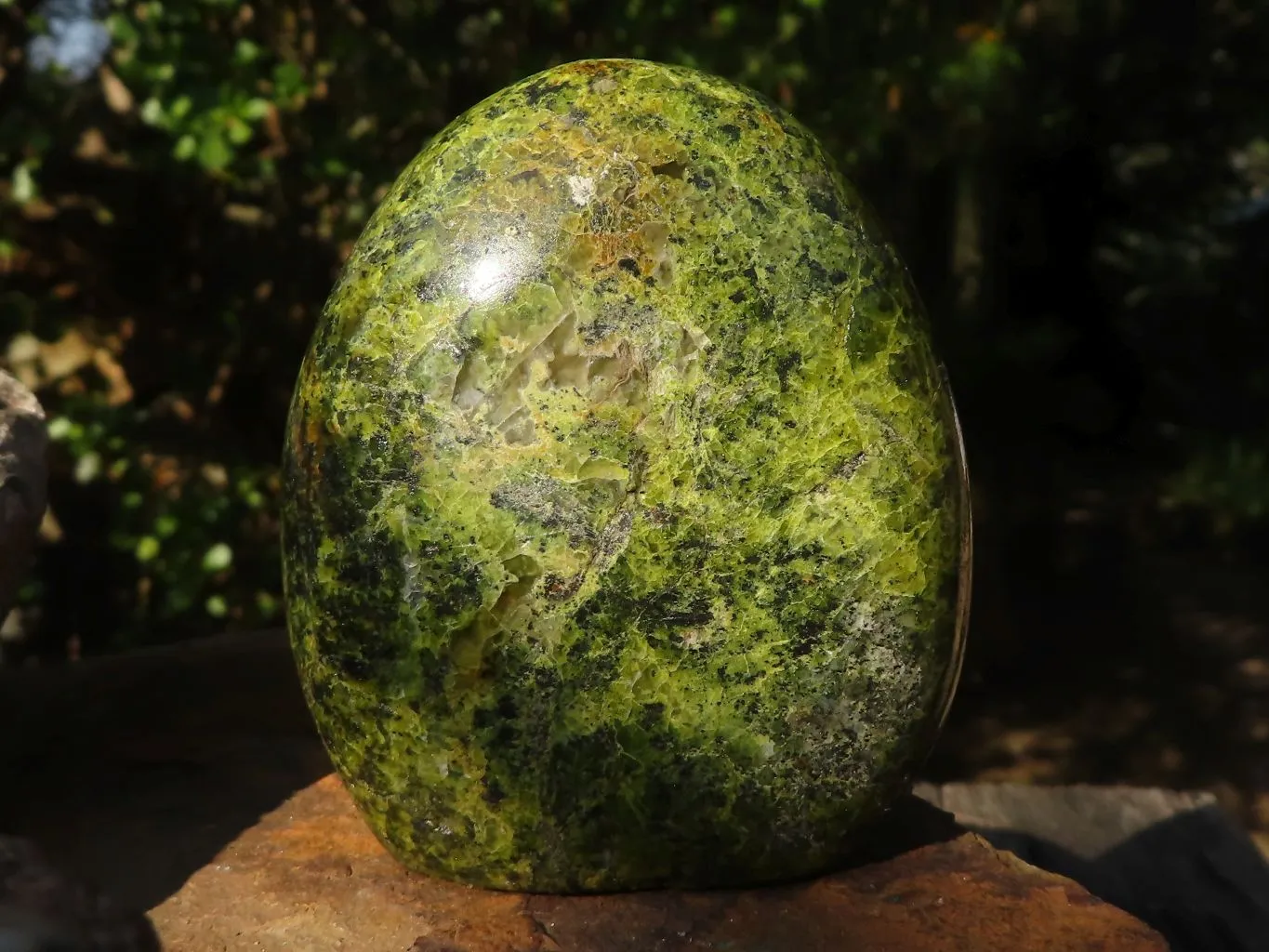 Polished Green Opal Standing Free Forms  x 4 From Madagascar