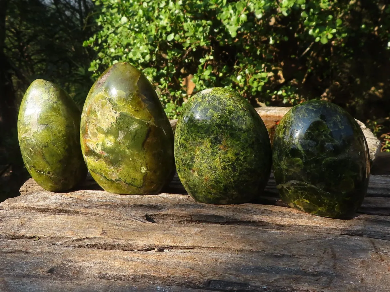 Polished Green Opal Standing Free Forms  x 4 From Madagascar