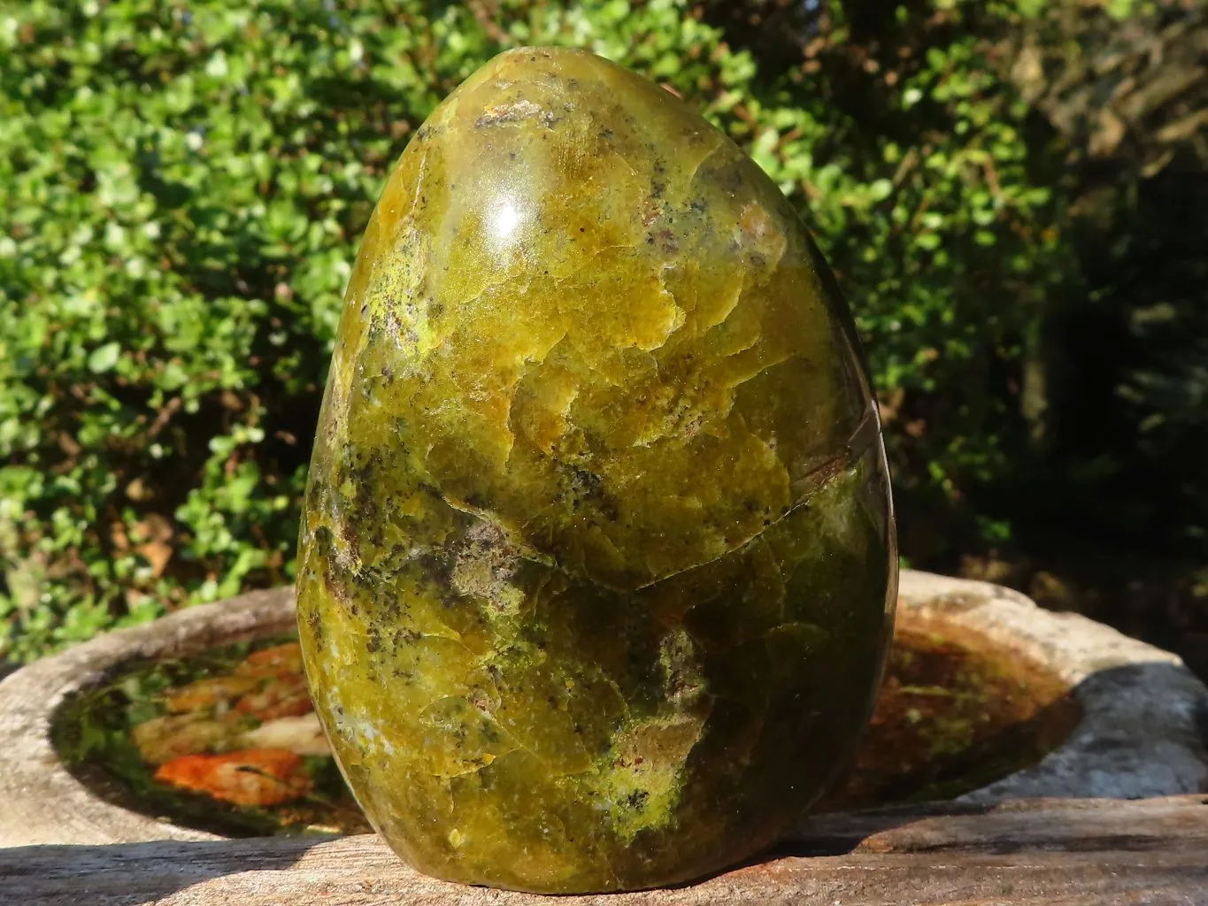 Polished Green Opal Standing Free Forms  x 4 From Madagascar