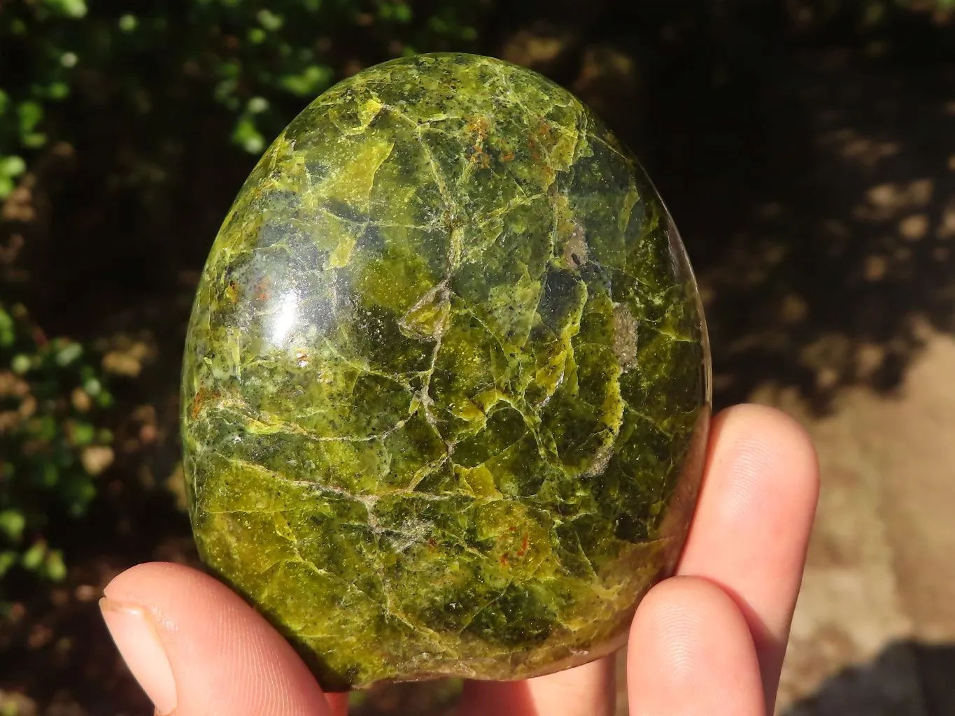 Polished Green Opal Standing Free Forms  x 4 From Madagascar