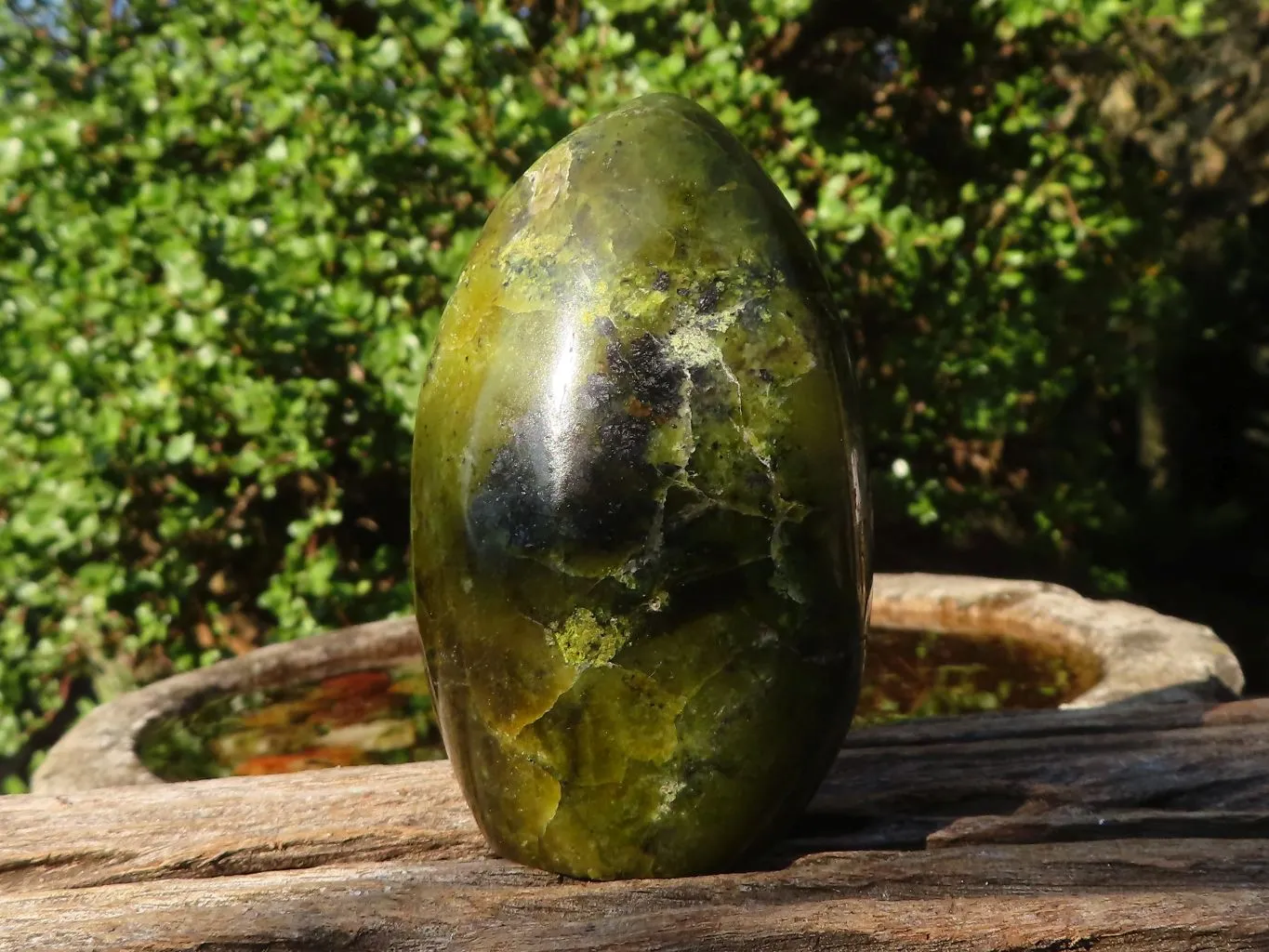 Polished Green Opal Standing Free Forms  x 4 From Madagascar