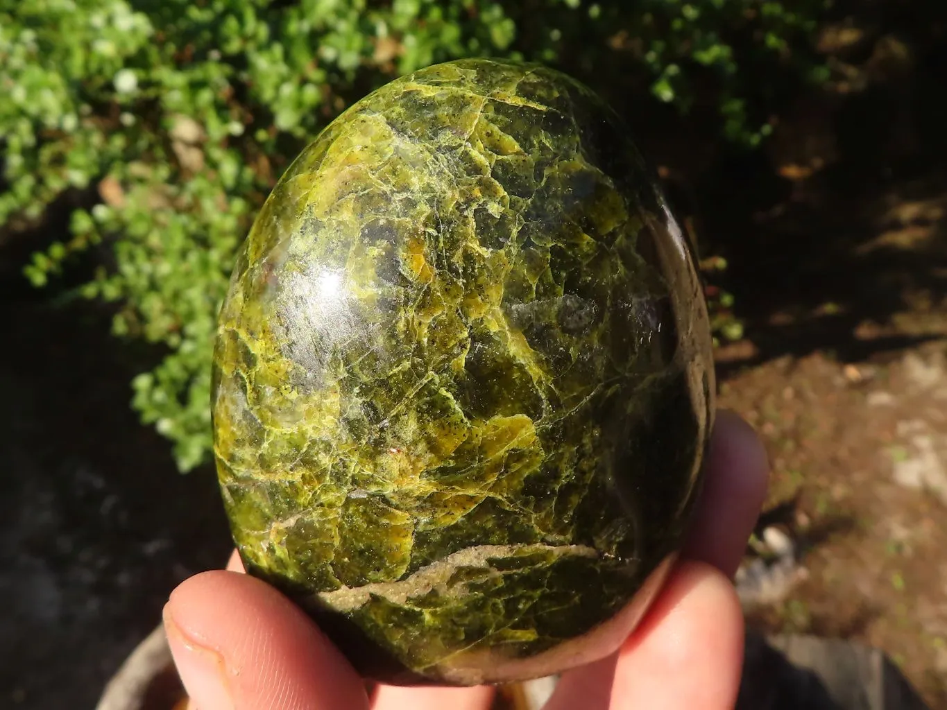 Polished Green Opal Standing Free Forms  x 4 From Madagascar
